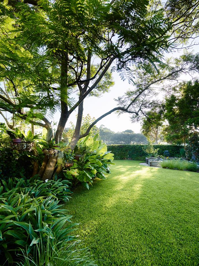 For a soft, fluffy lawn, mow it on the highest setting your mower permits. This [hidden gem set in Sydney's inner west](https://www.homestolove.com.au/a-lush-entertainers-garden-6434|target="_blank") has beautifully landscaped levels to tranquil water views.