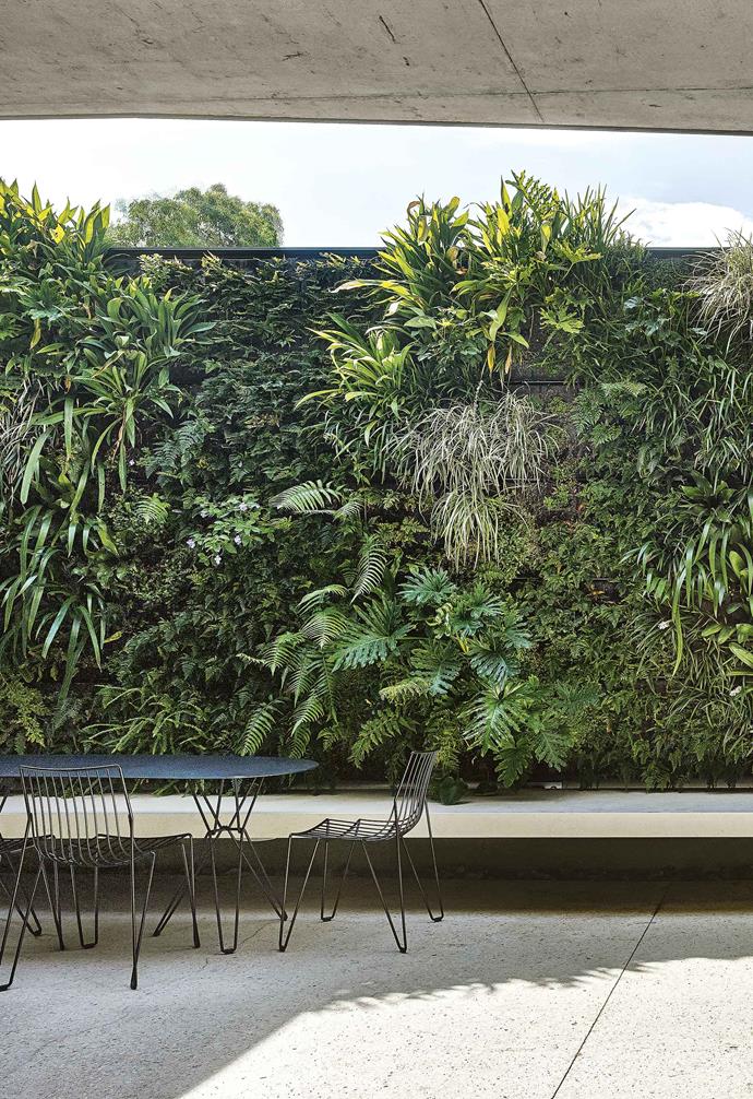 If you're looking for a touch of [low-maintenance greenery that are optimal for vertical walls](https://www.homestolove.com.au/10-best-plants-for-vertical-gardens-13376|target="_blank") that also turns a bare wall into a visual feast for the eyes, try a living wall. This textural green tapestry in a Melbourne courtyard, designed by [Fytogreen](http://fytogreen.com.au/|target="_blank"|rel="nofollow"), comprises 30 different species.