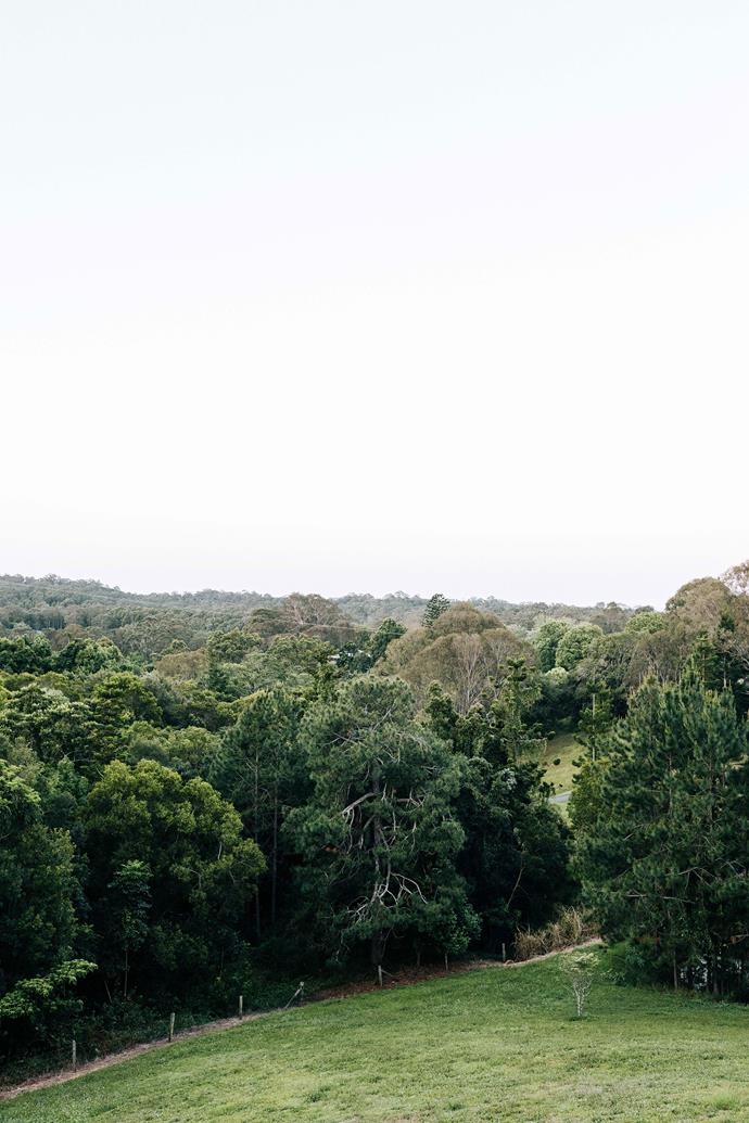 Native bushland surrounds the property, creating a sub-tropical oasis.