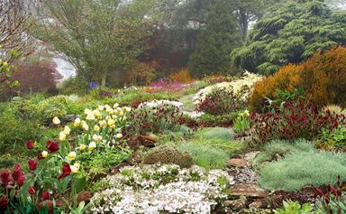 Tour an expansive Mount Tomah garden filled with rare plants