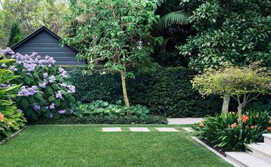 5 of the best lawn types for Australian gardens and how to choose the right one