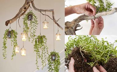 How to make a cascading indoor plant chandelier