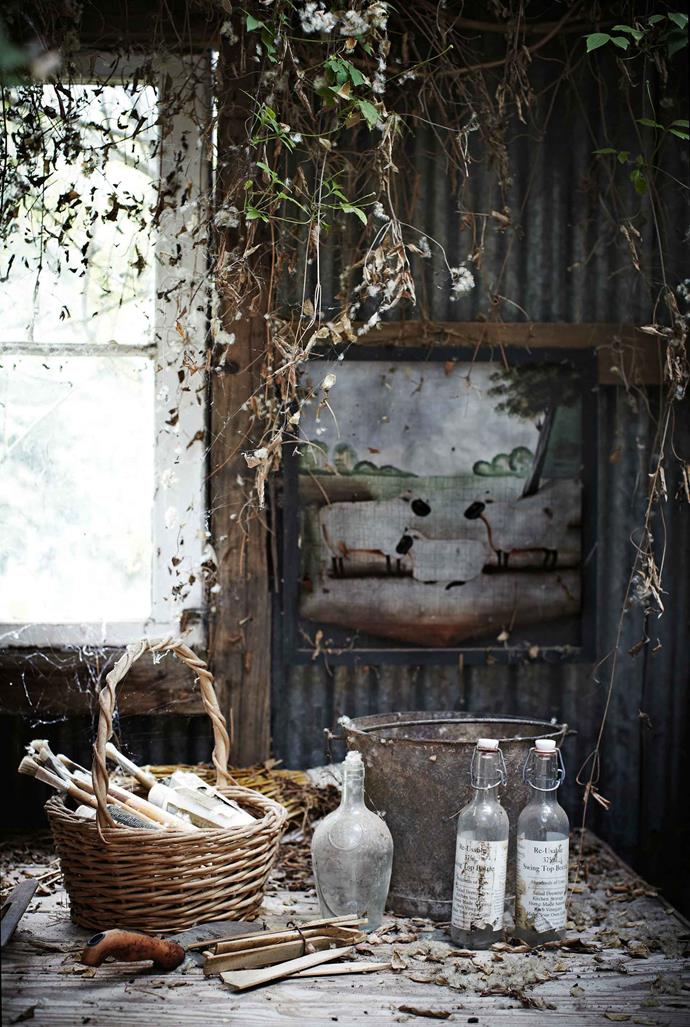 After six months' hard work, Rosie moved in and began resurrecting the garden from "a paddock of weeds littered with pieces of rusty machinery and coal". An artist's tools in the rustic studio and potting shed.