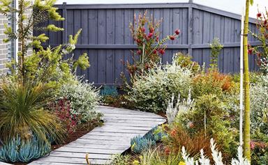 An easy-care coastal garden in Torquay with colourful plants