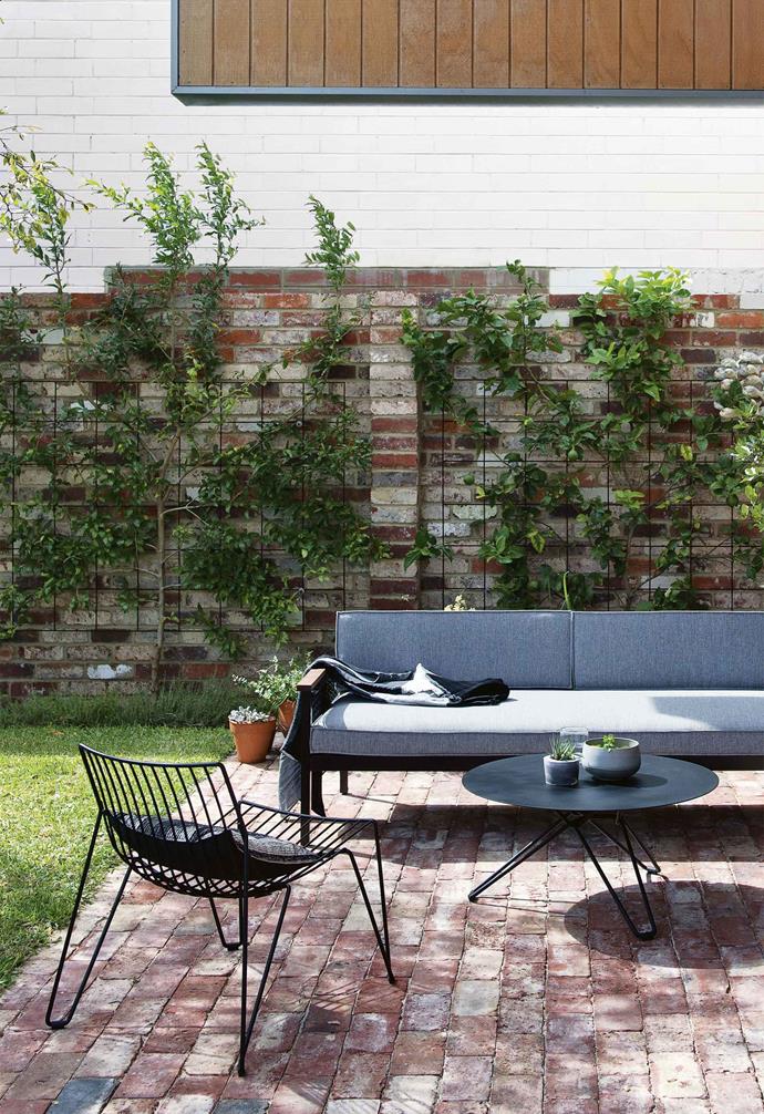 A steel lattice framework is the perfect surface for espalier training and adds an industrial touch to this [warehouse-inspired home in Fremantle](https://www.homestolove.com.au/industrial-warehouse-home-fremantle-17252|target="_blank").