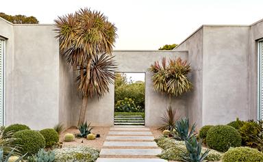 A contemporary coastal garden filled with exotic and native plants