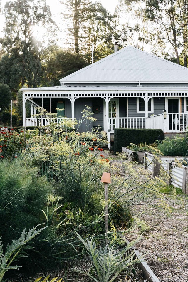 Rows of [raised garden beds](https://www.homestolove.com.au/raised-garden-beds-9873|target="_blank") lead the way towards the farmhouse at [Black Barn Farm](https://www.homestolove.com.au/black-barn-farm-20518|target="_blank"). Back in 2016, the owners camped out while they completed a six-week renovation of the property. During the renovations, owner Jade Miles decided to make the kitchen smaller in order to create a large walk-in pantry. "We grow all our own food and I have shelves and shelves of preserves, chutneys, jams and sauces," she says.