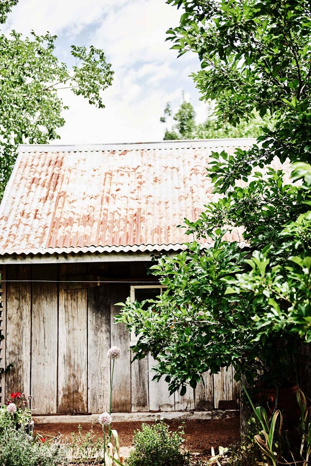 The chicken shed at this [fourth-generation family farmhouse](https://www.homestolove.com.au/pressed-metal-20545|target="_blank") was the original meat and dairy store house. It was constructed from hand-cut slabs of timber from trees on the property and lined with newspapers from the 1850s; some of which remain today.