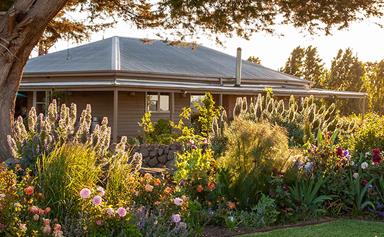 A garden of hardy plants that can survive drought and frost
