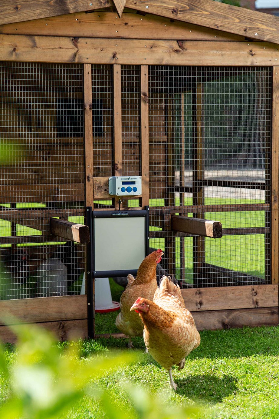 A chicken coop with a ChickenGuard automatic door-opener.
