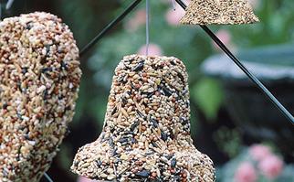 Bird seed bell hanging from a fence