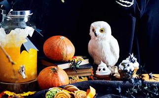 Halloween decorations pumpkins, owl and drinks dispenser