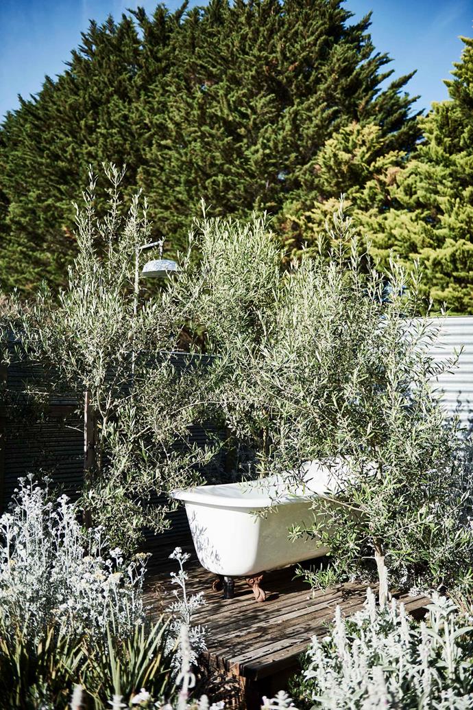 An outdoor shower and claw-foot bath are screened by a Mediterranean-inspired garden.