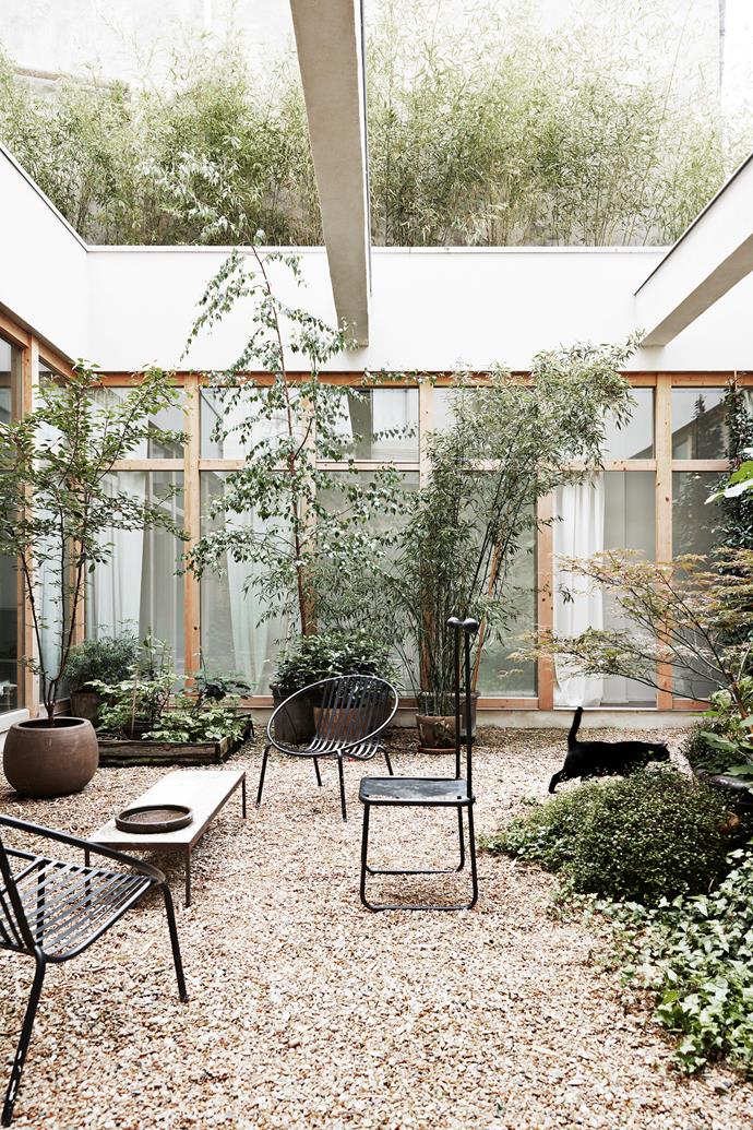The courtyard is blissfully low-maintenance. The furniture is simple and sturdy, large trees are contained in planters and the ground is covered in woodchips, ideal for high-traffic outdoor areas.