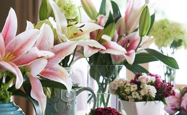 How to grow lilies in gardens and pots