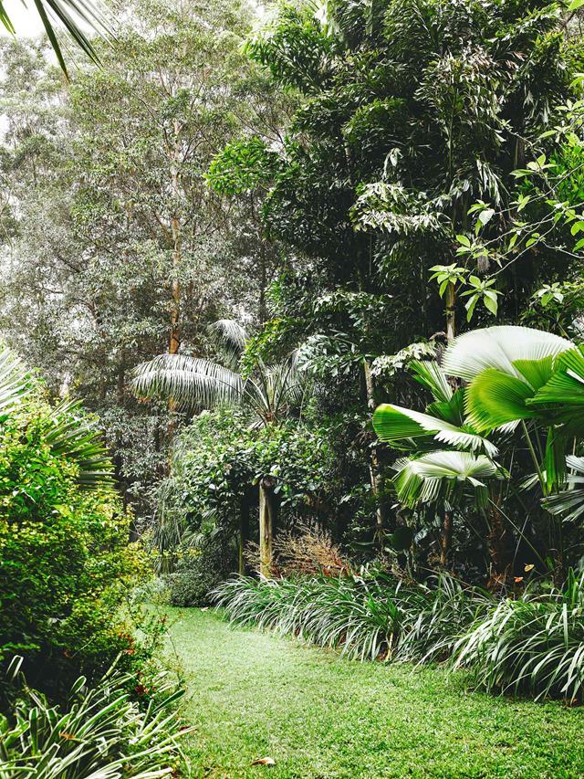 This tropical garden features a Zoysia grass lawn, which thrives in coastal areas.