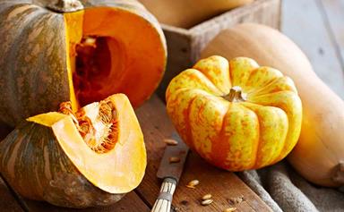 How to prep, cook and store pumpkins when they're in season