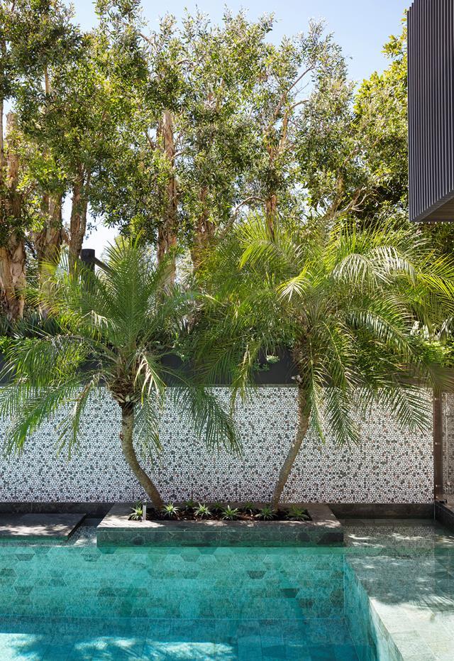 House and garden are intimately linked in [this project](https://www.homestolove.com.au/verdant-garden-with-harbour-views-20539|target="_blank") by Anthony Wyer and Geoform Design Architects. The pool's mosaic tiles and natural stone tiles are from Ocean & Merchant. The custom-made aluminium planted is painted in Dulux Ferrodor and contains fan aloe and iceplant.