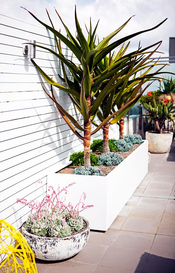 Fill your rooftop terrace with as many plants - in varying shapes, sizes and heights - to make it feel like a garden. Plants will also help to create privacy and shade if they're big enough.