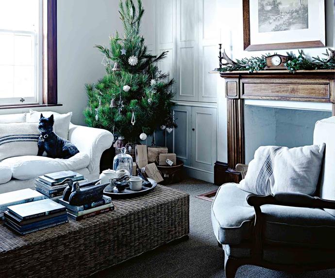 Living room with Christmas tree