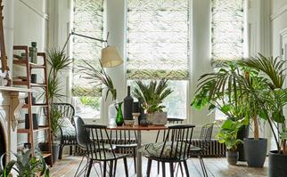 Dining room with indoor plants
