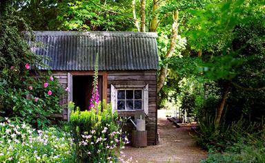 How to get your garden shed in order