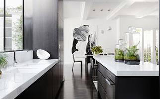 monochrome luxury kitchen