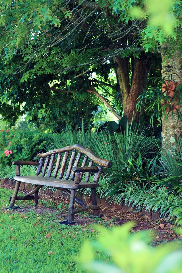**Use salvaged outdoor furniture** – do not put any precious pieces outside as they are bound to suffer wear and tear. A rustic timber bench seat is a favourite viewing spot in this [tropical Queensland garden](https://www.homestolove.com.au/an-old-macadamia-farm-redesigned-into-a-tropical-garden-5228|target="_blank")