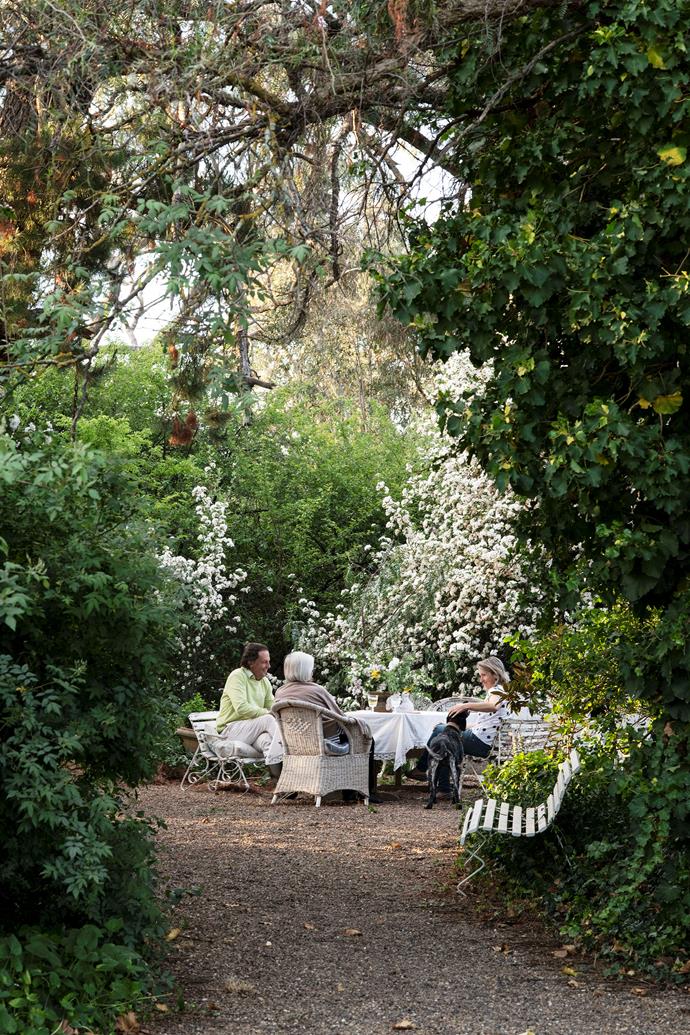 This [rambling country garden in Boorowa](https://www.homestolove.com.au/rambling-country-garden-design-21135|target="_blank") is a real delight. Created by owner Joseph Corkhill as a venue for large gatherings and also to provide opportunities for a secluded getaway. Here, the family enjoys afternoon tea under the 100-year-old radiata pine.
