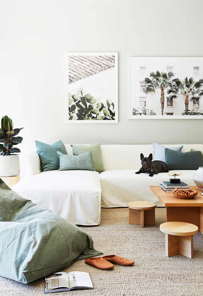 Louie the French bulldog is clearly right at home on the sofa of the Barefoot Bay Villa, a gorgeous and [luxurious holiday home](https://www.homestolove.com.au/barefoot-bay-villa-byron-bay-21018|target="_blank") in Byron Bay.