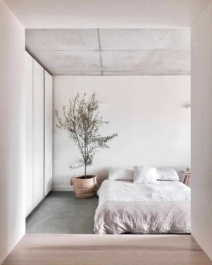 A olive tree, textured concrete surfaces and simple, natural decor, give this minimalist bedroom an Mediterranean feel.