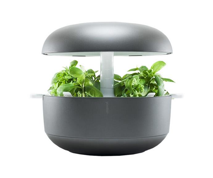 Plantui smart Garden 6, $452, [Finnish Design Shop](https://www.finnishdesignshop.com/patio-garden-gardening-flower-pots-planters-smart-garden-grey-p-11115.html|target="_blank"|rel="nofollow")