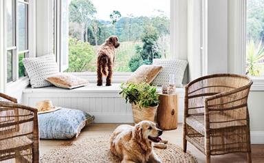 14 pets that turned a house into a home