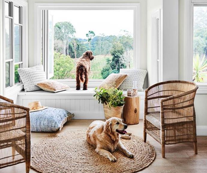 14 pets that turned a house into a home