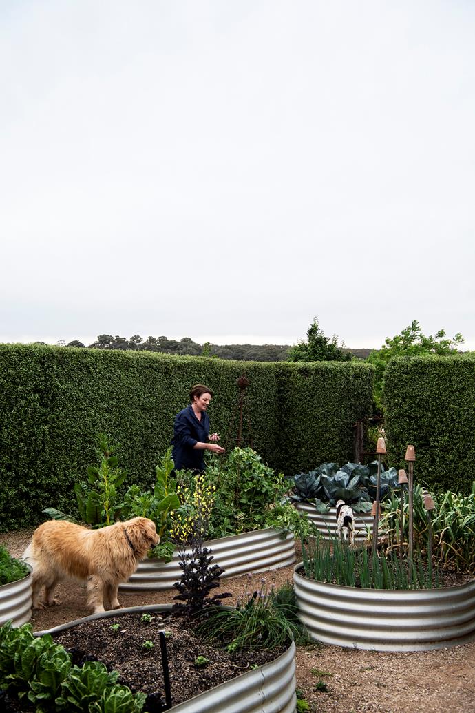 Artist Colleen Southwell and her husband Jason created their [formal garden in Belgravia](https://www.homestolove.com.au/formal-rural-garden-21317|target="_blank"), near Orange, by themselves. The garden features a mix of ornamental grasses, hedges clipped into decorative balls and perennial flowers but one of the most peaceful 'rooms' is the kitchen garden, walled in by tall, neatly trimmed hedges.
