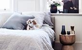 7 ways to keep your pet warm and cosy this winter