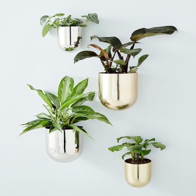 **Metal Wallscape Planters, small antique brass, from $49, [West Elm](https://www.westelm.com.au/metal-wallscape-planters-d7622?quantity=1&attribute_1=Small|target="_blank"|rel="nofollow")**

Fair Trade certified and available in two sizes, these metallic planters [add a brilliant pop](https://www.homestolove.com.au/how-to-style-your-home-this-winter-3489|target="_blank") to your indoor green display, particularly with more upright-growing plant types. Mix and match shapes and sizes or stick to a uniform selection. Made from aluminium with a silver or antique brass finish, hanging hardware is included.