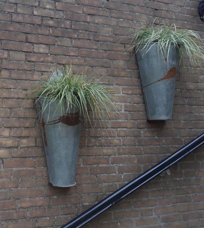 **European galvanised wall planter, $245, [Fossil Vintage](https://www.fossilvintage.com.au/products/european-galvanised-wall-planter-2552-september-container?variant=29469209428038|target="_blank"|rel="nofollow")**

These galvanised metal planters hang flat to the wall with a conical curve, allowing plenty of room for your plants to cascade down the front. Galvanised metal deters rust, so the textured effect should remain as it is, bringing a nice patina to a modern space, or fitting a [French provincial](https://www.homestolove.com.au/french-country-homes-australia-21630|target="_blank"|rel="nofollow") or country style courtyard or garden decor. Leaving your plant in its plastic pot will elevate it in place and avoid drips.