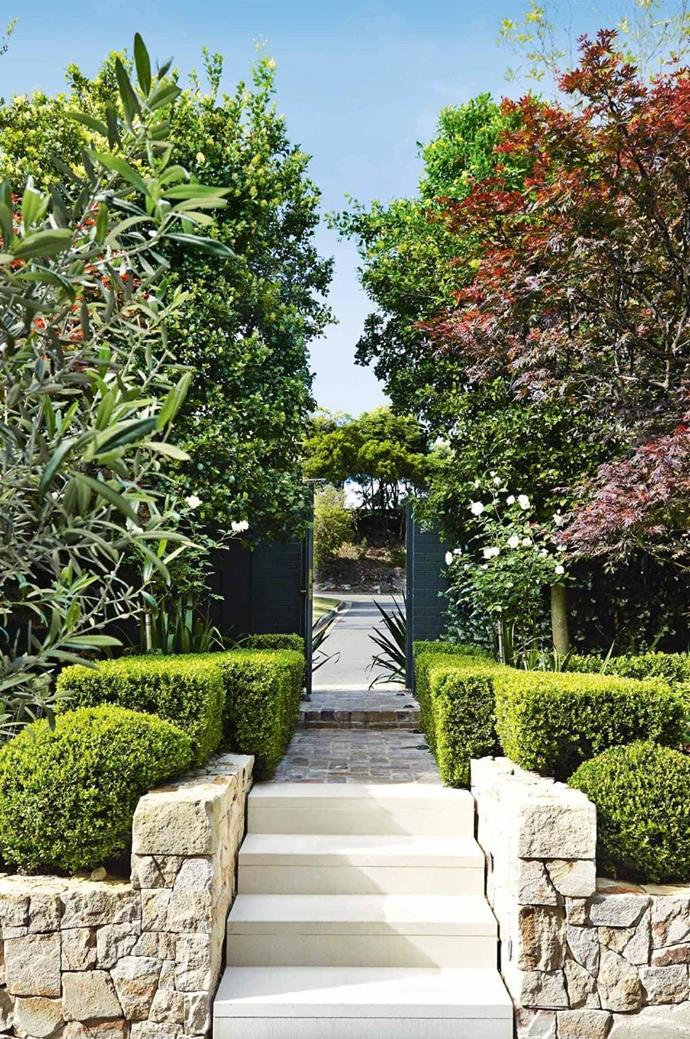 Striking seasonal plants means the look of [this garden](https://www.homestolove.com.au/front-garden-inspiration-17367|target="_blank") is constantly changing. The sculptural pruned hedges to the front complement the rigid form of the entryway, adding height and visual depth.