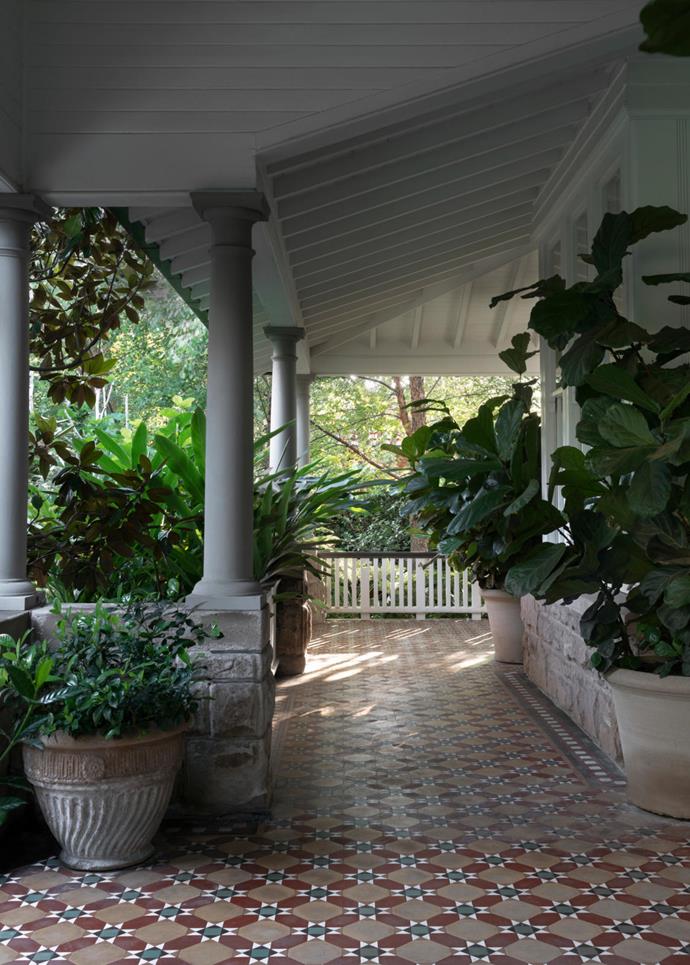 A potted Gardnia augusta 'Magnifica' and fiddle leaf figs adorn the verandah of a [restored Sydney home](https://www.homestolove.com.au/botanical-garden-filled-with-textural-plantings-21557|target="_blank").