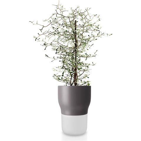 Eva Solo Glass/Ceramic Self-Watering Herb Pot in Grey (13cm), $81, [Peters of Kensington](https://www.petersofkensington.com.au/Public/Eva-Solo-Glass-Ceramic-Self-Watering-Herb-Pot-Grey-13cm.aspx|target="_blank"|rel="nofollow")