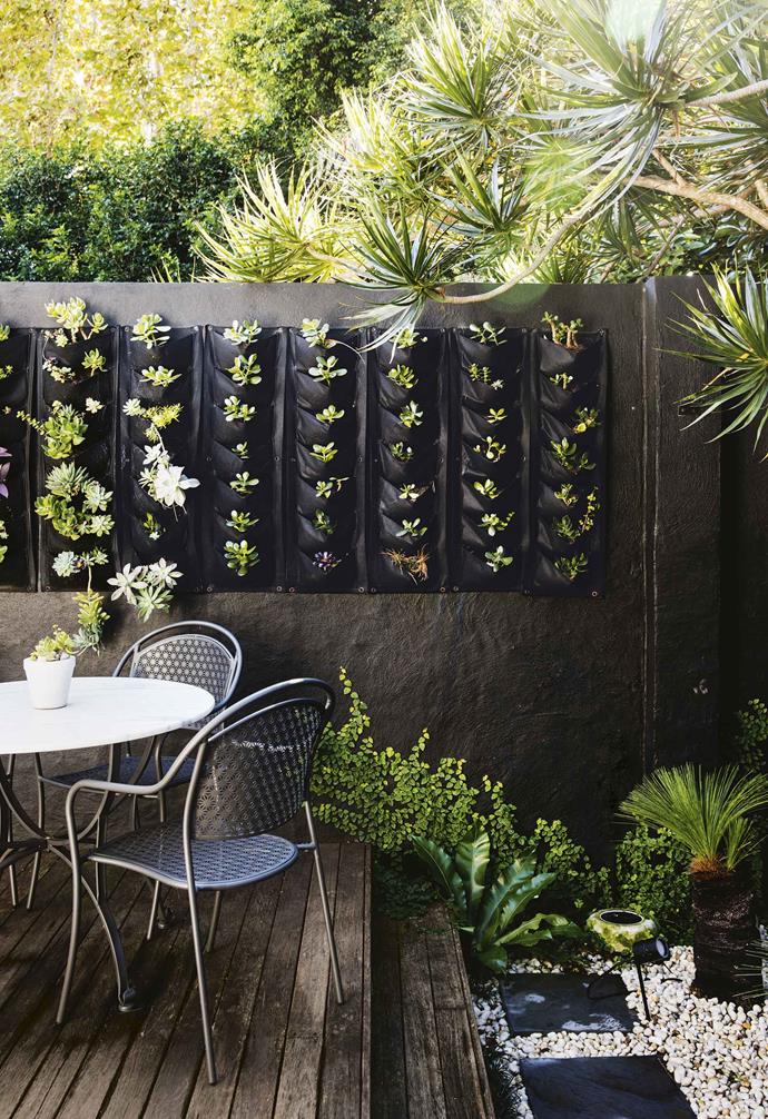 When it comes to the backyard you may find that you're often working with what the original builders have put in place. But, that doesn't mean you can't have fun with it. The backyard of this [relaxed Paddington terrace](https://www.homestolove.com.au/relaxed-terrace-paddington-18366|target="_blank") features a charcoal rendered wall to separate it from its neighbours. Seeking to spruce it up and add some lush colour, the new homeowners added this vertical garden to the wall to create visual interest.