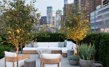 A lush rooftop garden in New York City