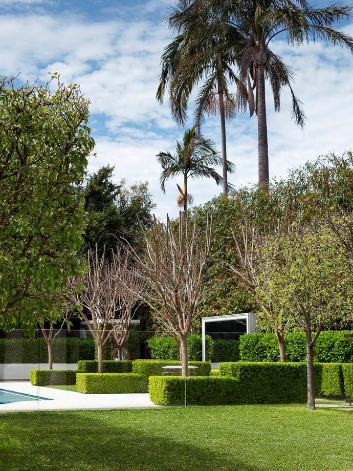 Investing in fast-growing evergreens, clipped species and symmetrical planting paid off for garden designers Annie Wilkes and the owners of this lush Sydney Property.