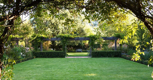  Beautiful Australian Backyards Homes To Love - Australian Backyard Garden Ideas