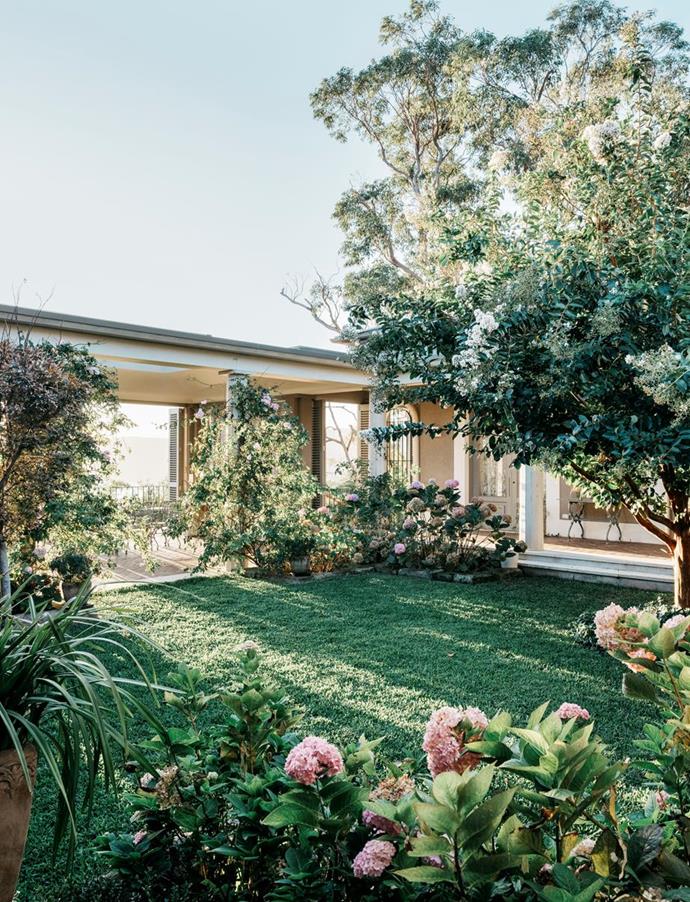 Renae' climbing roses, hydrangeas, orchids and white crepe myrtle enhance the lawned central courtyard of this [Palm beach villa with Italian inspired design](https://www.homestolove.com.au/palm-beach-villa-19320|target="_blank"). 