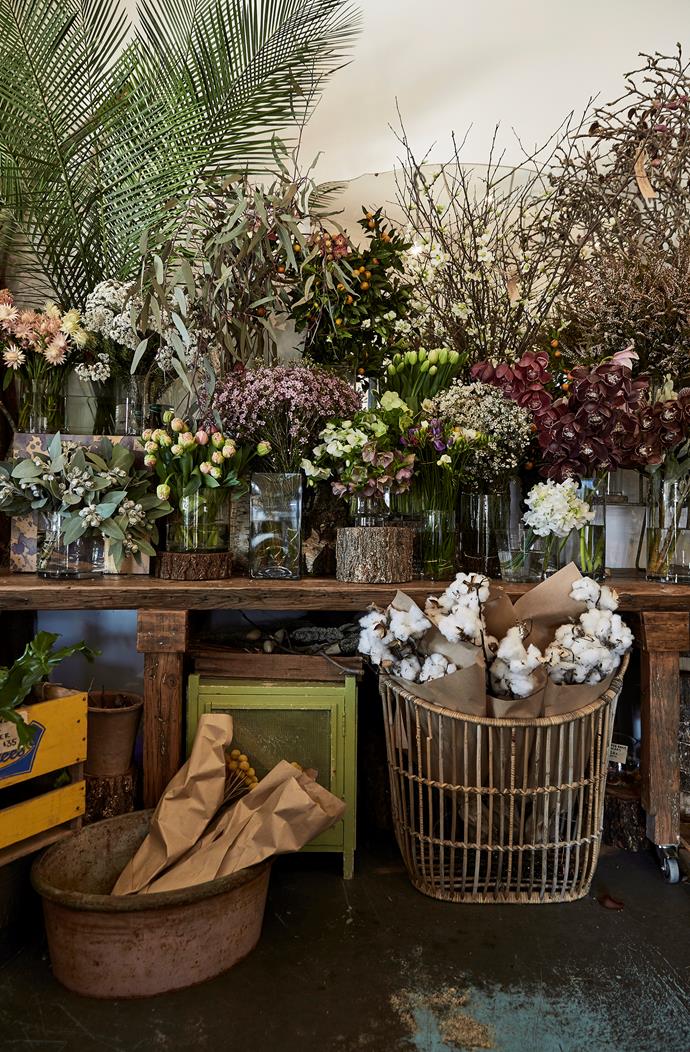 **The Shady Fig**<br>
If there's a sweeter souvenir to take home than an indoor plant (complete with statement planter), we're yet to find it. Indulge your green obsession with beautifully styled flowers pots and gifts to boot.<br>
*12/16 Alexandra Street St, (02) 4464 2444; [shadyfig.com.au](https://www.shadyfig.com.au/|target="_blank"|rel="nofollow")*