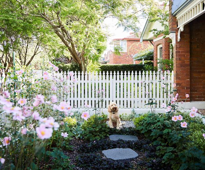 10 spring gardening jobs that will add value to your home
