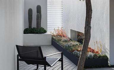 12 courtyard design ideas to inspire