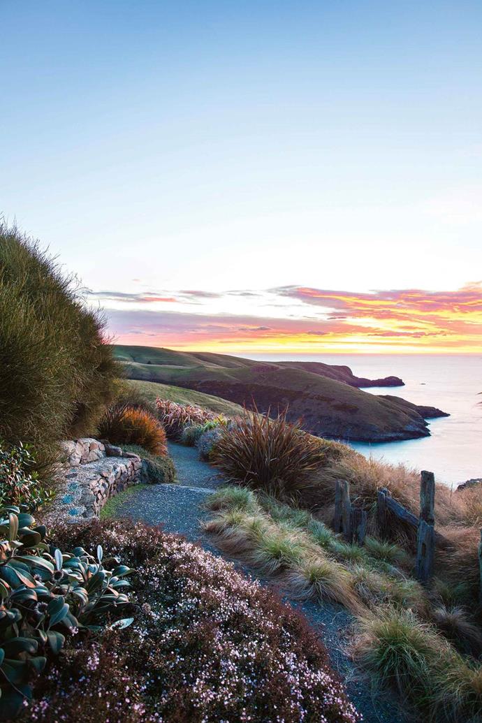 This [garden on New Zealand's Banks Peninsula](https://www.homestolove.com.au/ocean-gardening-13985|target="_blank") seamlessly blends in with the surrounding landscape. Penguins, as well as fur seals and their pups, can be seen from vantage points in their garden, 150 metres above sea level. Planting is kept to a minimum where the spectacular view is all-embracing.